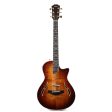 Taylor T5z Custom Koa Shaded Edgeburst For Discount