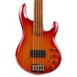 Ernie Ball Music Man StingRay 5-String Special Fuego Discount