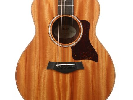 Taylor GS Mini Mahogany Acoustic Guitar Supply