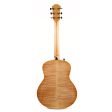 Taylor GT 611e LTD Big Leaf Maple Antique Blonde For Cheap