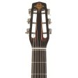 Eastman DM1 Gypsy Jazz Guitar Classic Used Hot on Sale