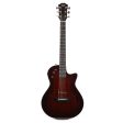 Taylor T5z Classic DLX Shaded Edgeburst 2017 Hot on Sale